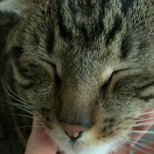 Meet your Posher, Eren